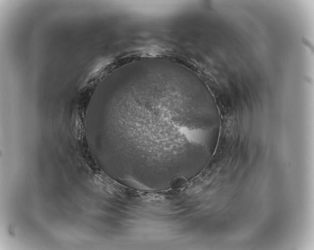 X0000096471446200801241418