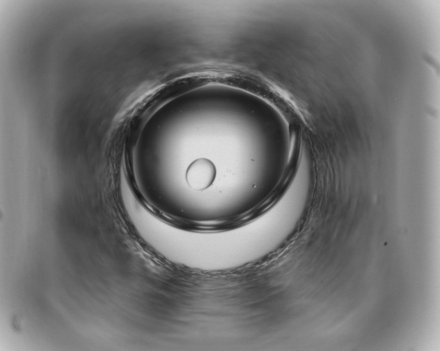 X0000096471448200801241418