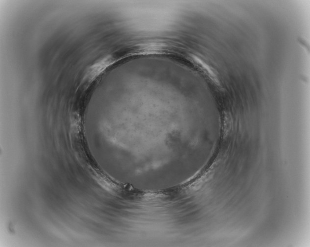 X0000096471449200801241418