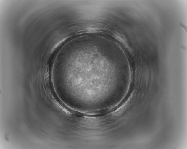 X0000096471450200801241418