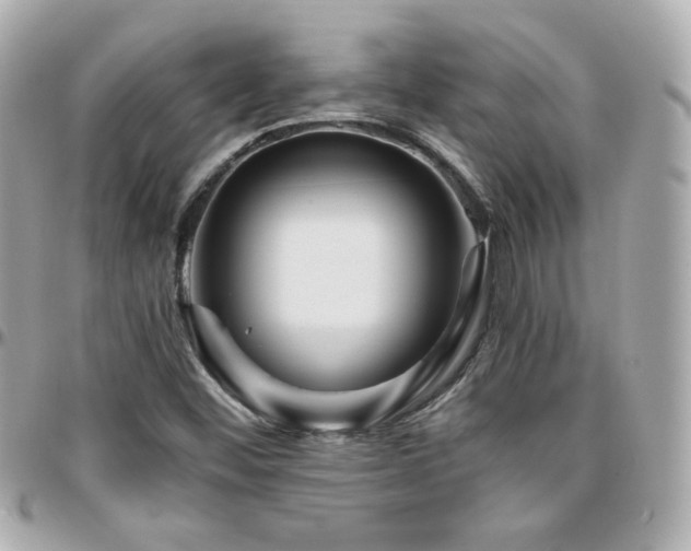 X0000096471452200801241418