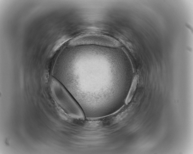 X0000096471453200801241418