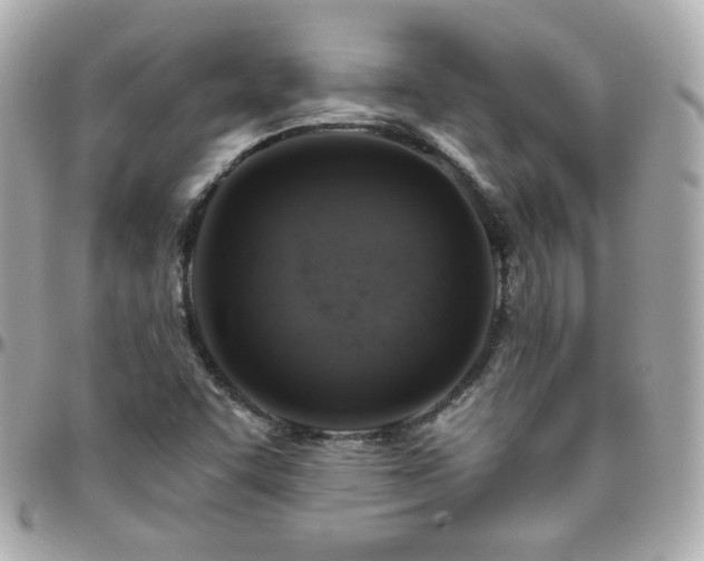 X0000096471455200801241418