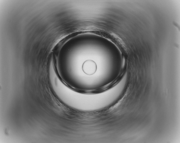 X0000096471457200801241418