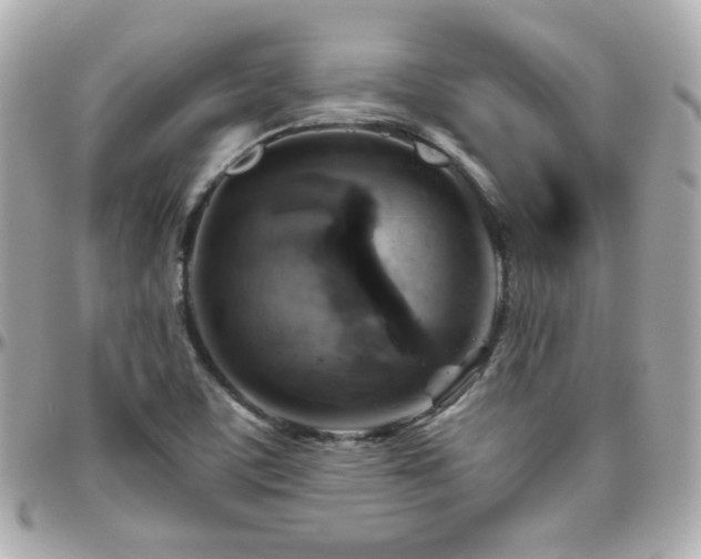 X0000096471459200801241418