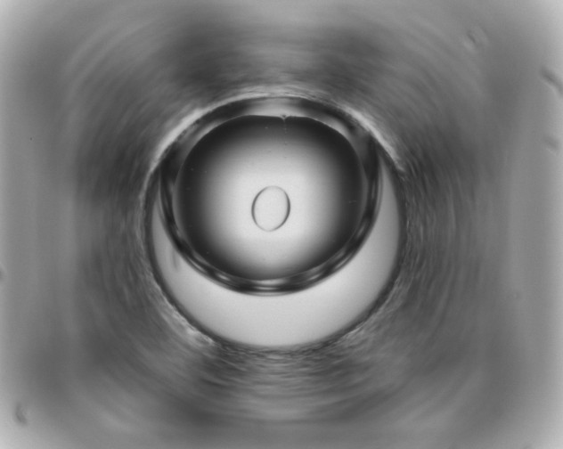 X0000096471460200801241418