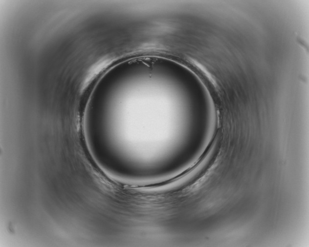 X0000096471461200801241418