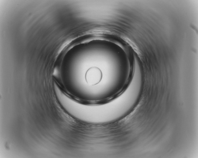 X0000096471465200801241418