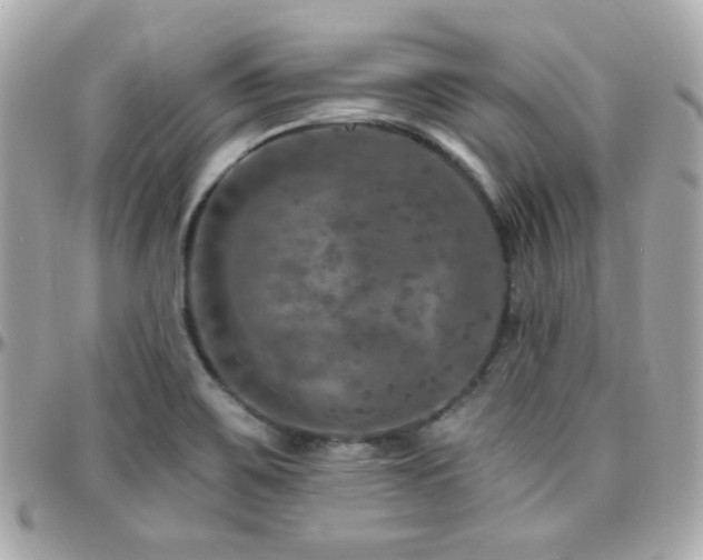 X0000096471467200801241418