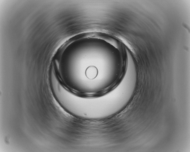 X0000096471468200801241418