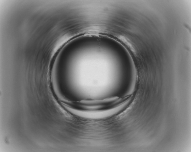 X0000096471469200801241418