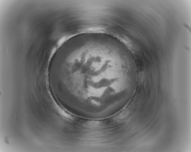 X0000096471470200801241418