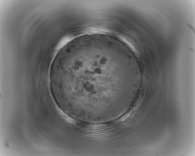 X0000096471471200801241418