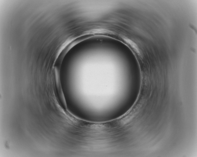 X0000096471473200801241418