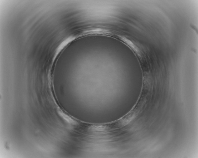 X0000096471474200801241418