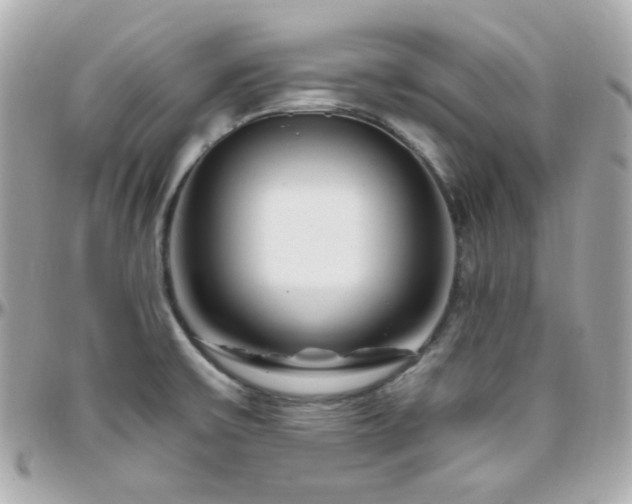 X0000096471475200801241418