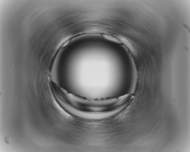 X0000096471476200801241418