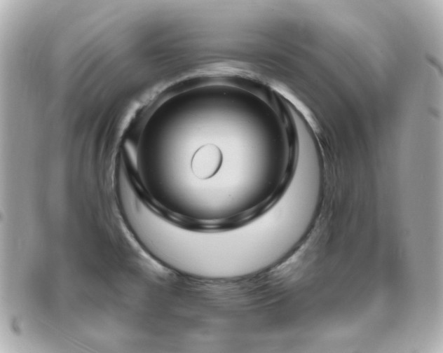 X0000096471477200801241418