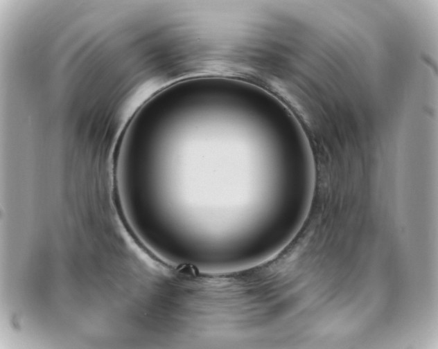 X0000096471479200801241418