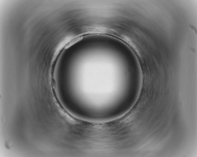 X0000096471480200801241418