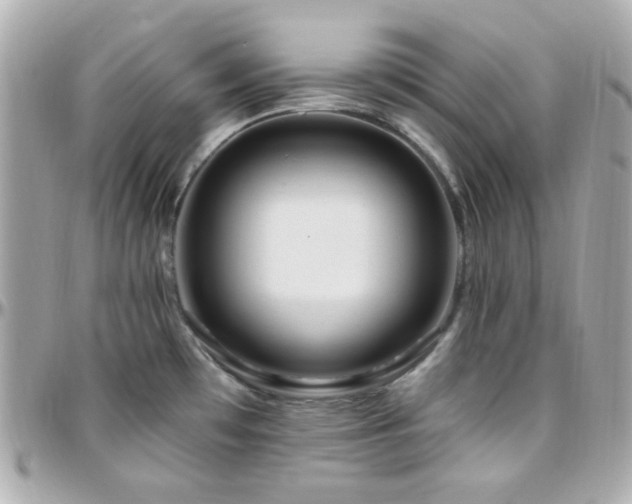 X0000096471481200801241418