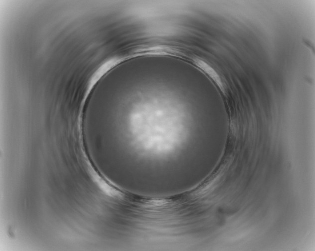 X0000096471482200801241418