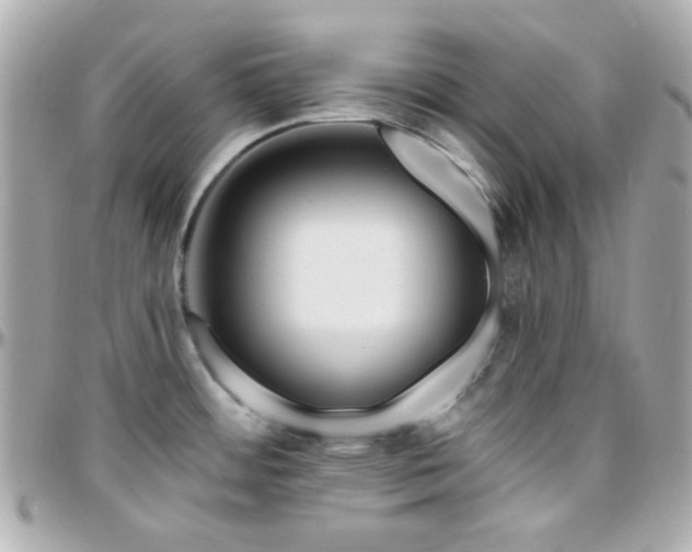 X0000096471484200801241418