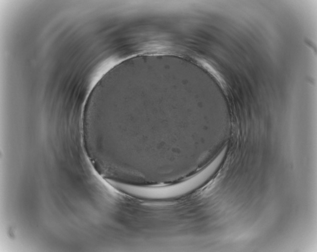 X0000096471487200801241418