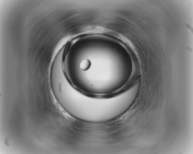 X0000096471488200801241418