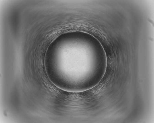 X0000096471489200801241417