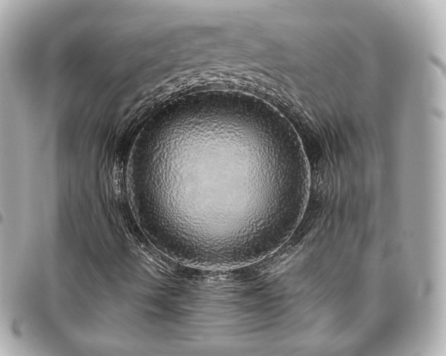 X0000096471490200801241417