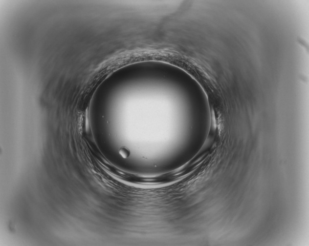 X0000096471492200801241417