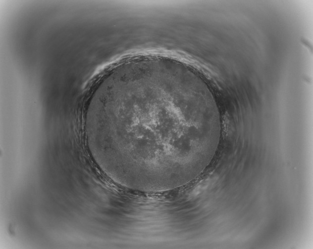 X0000096471494200801241417