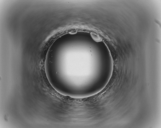 X0000096471495200801241417