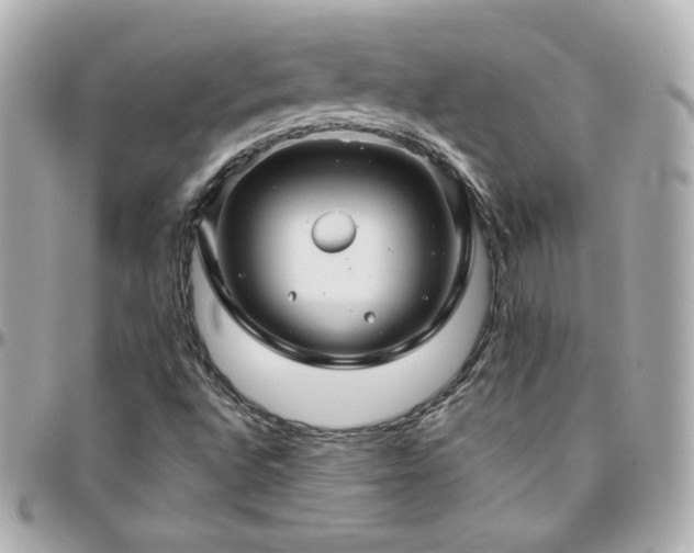 X0000096471496200801241417