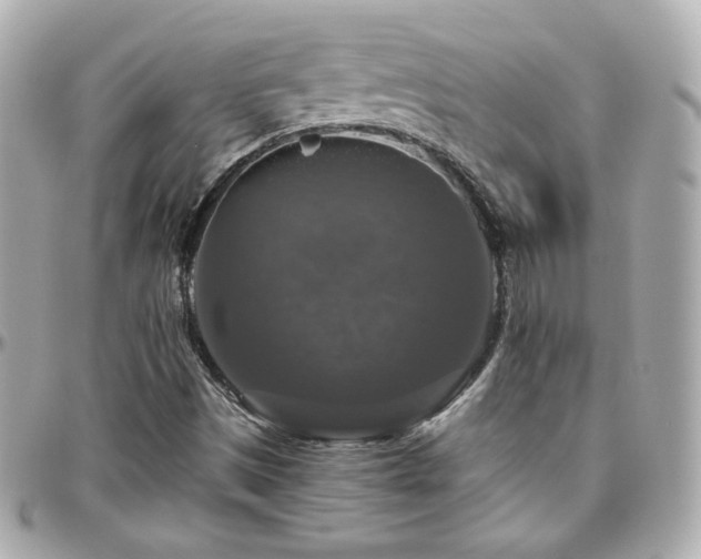 X0000096471497200801241417