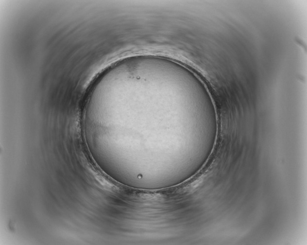 X0000096471498200801241417