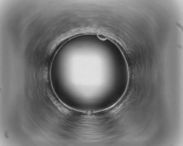 X0000096471499200801241417