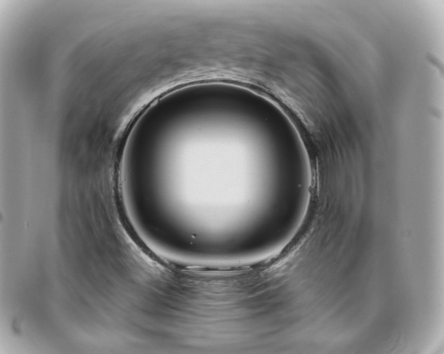 X0000096471500200801241417