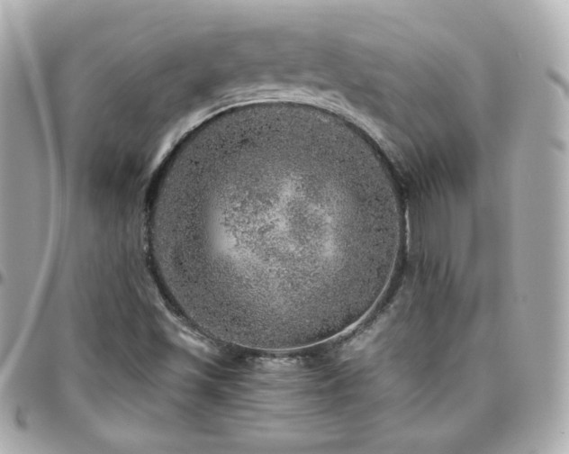 X0000096471501200801241417