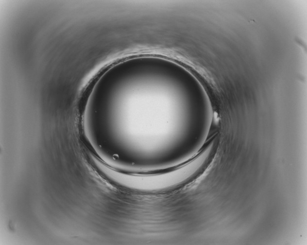 X0000096471502200801241417