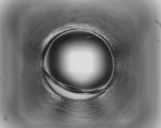 X0000096471503200801241417