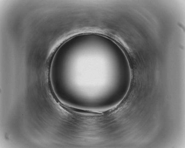 X0000096471504200801241417