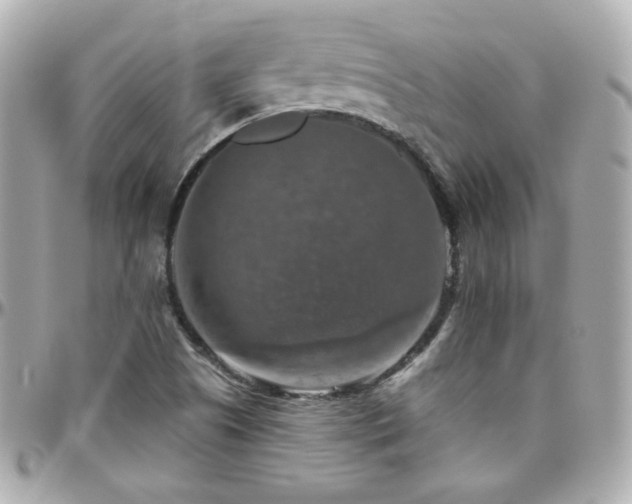 X0000096471505200801241417