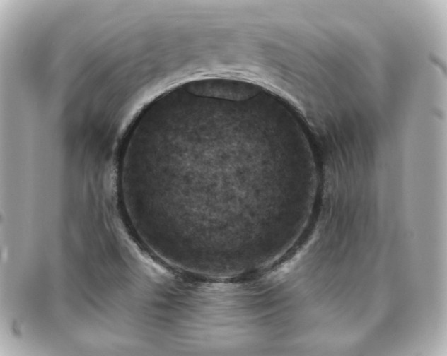 X0000096471506200801241417