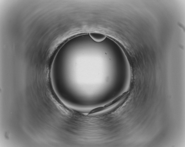 X0000096471507200801241417