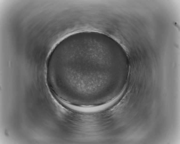 X0000096471508200801241417