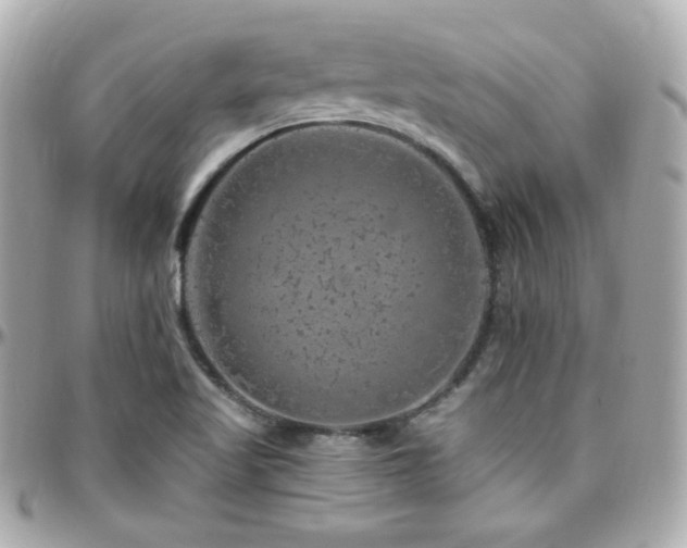 X0000096471509200801241417