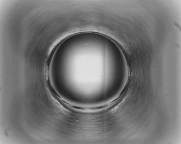 X0000096471510200801241417