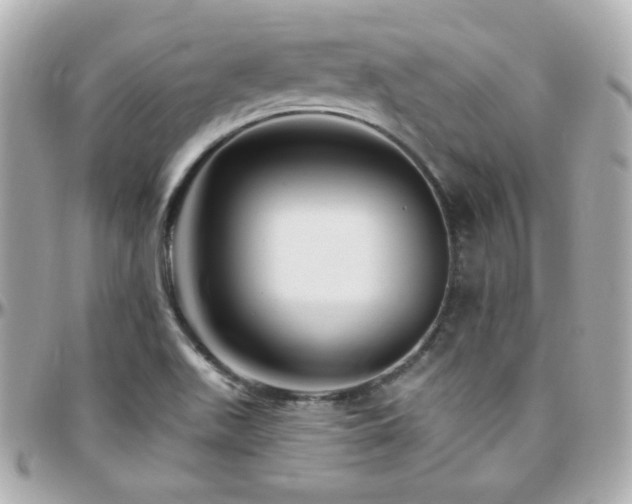 X0000096471511200801241417